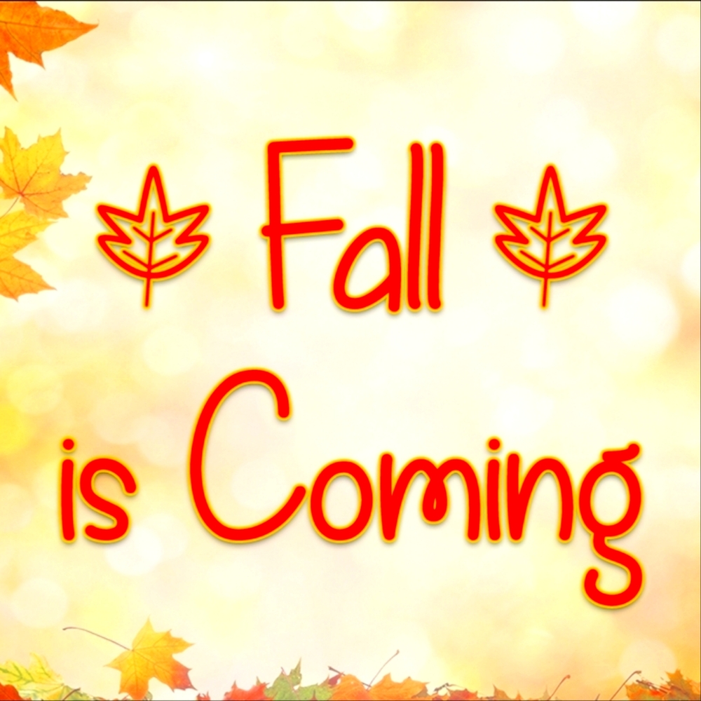 🍁🍂It's Almost Fall Y'all!!🍂🍁